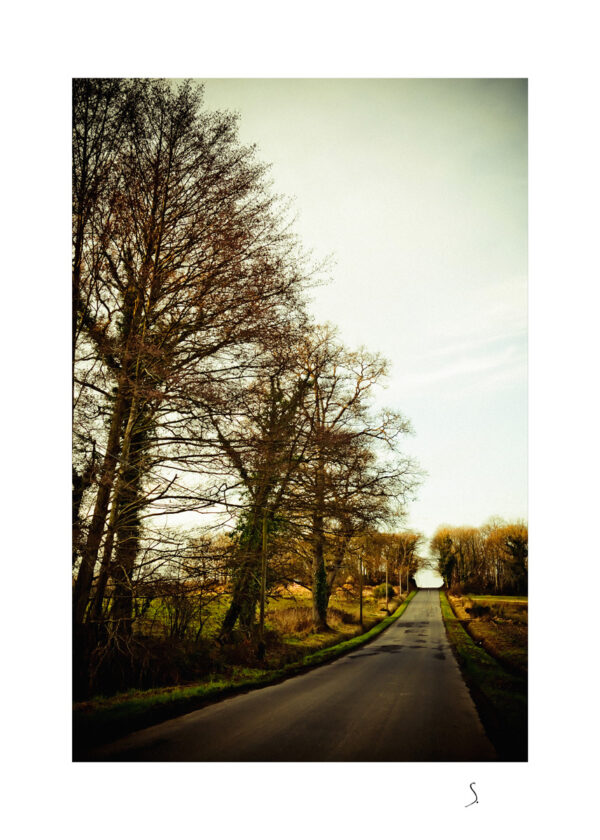 Landscape 0023