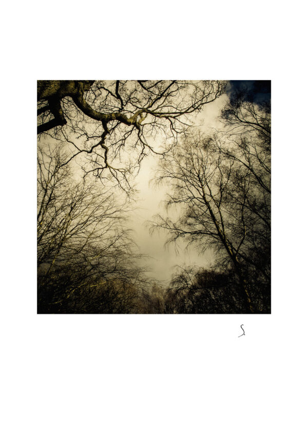 Landscape 0032