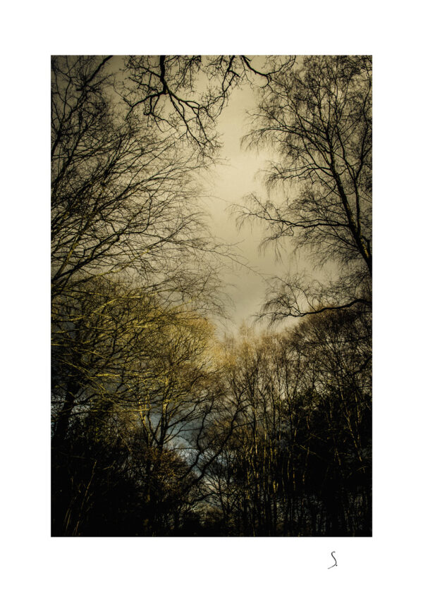Landscape 0039