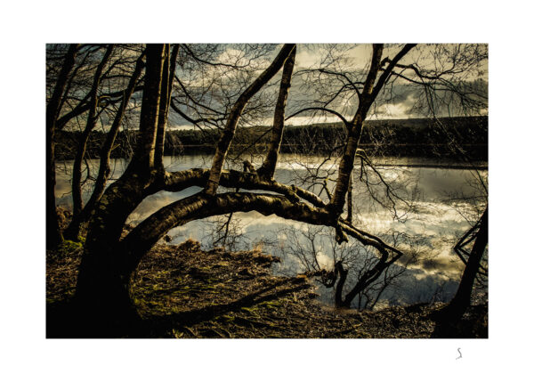Landscape 0041