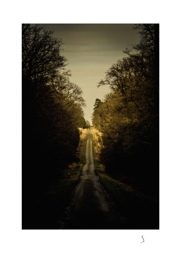 Landscape 0072