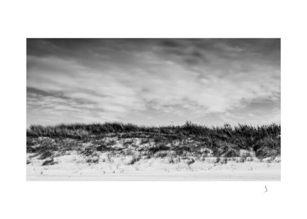 Landscape 0218