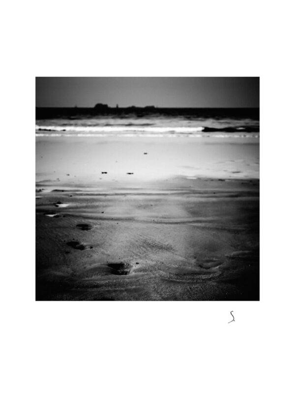 Landscape 1157