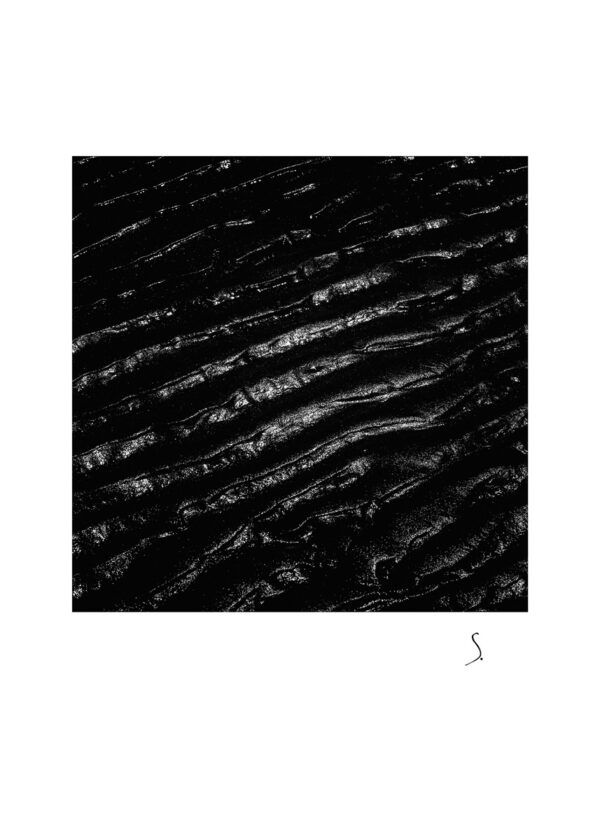 Landscape 1171
