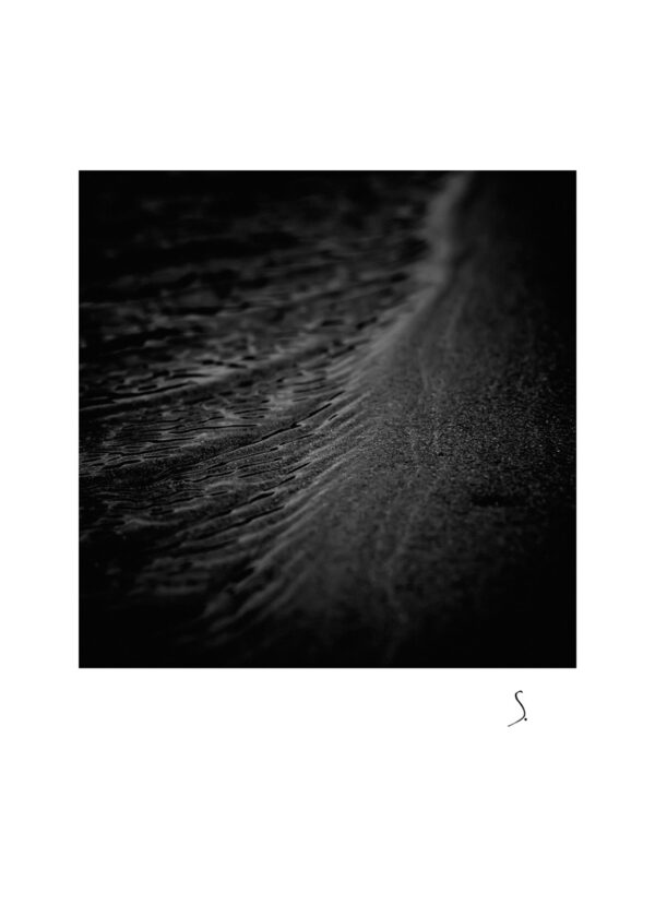 Landscape 1175