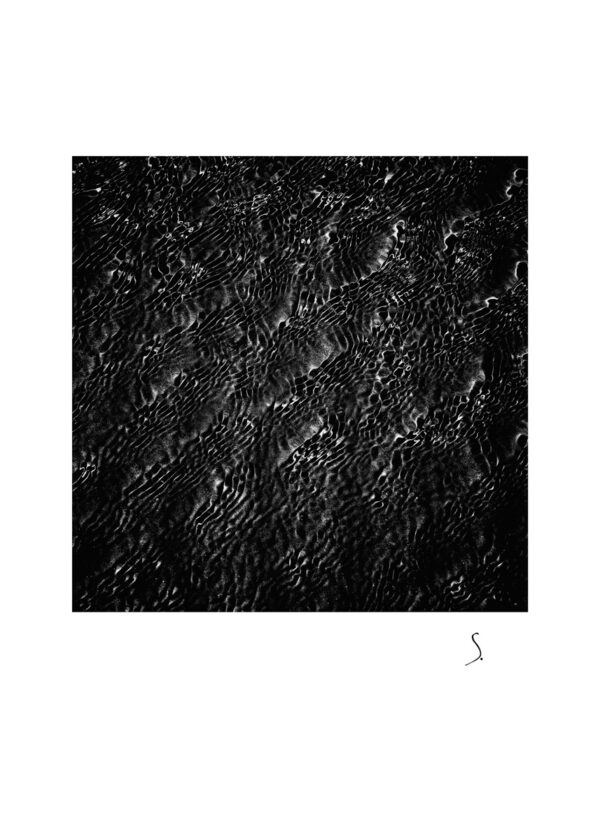 Landscape 1178