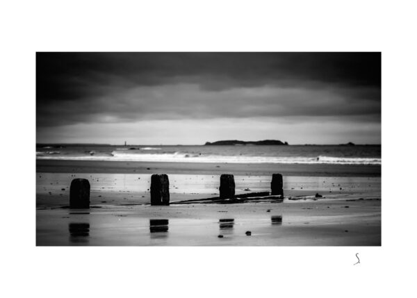 Landscape 1183