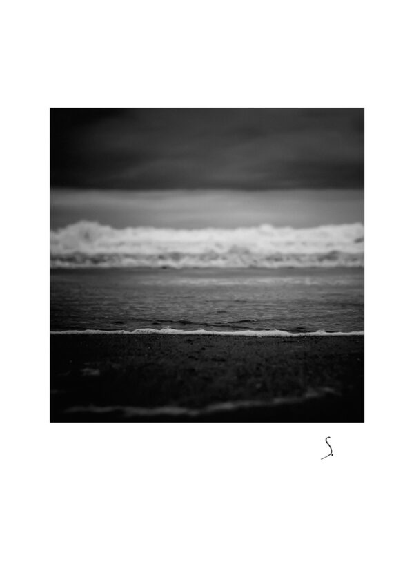 Landscape 1193
